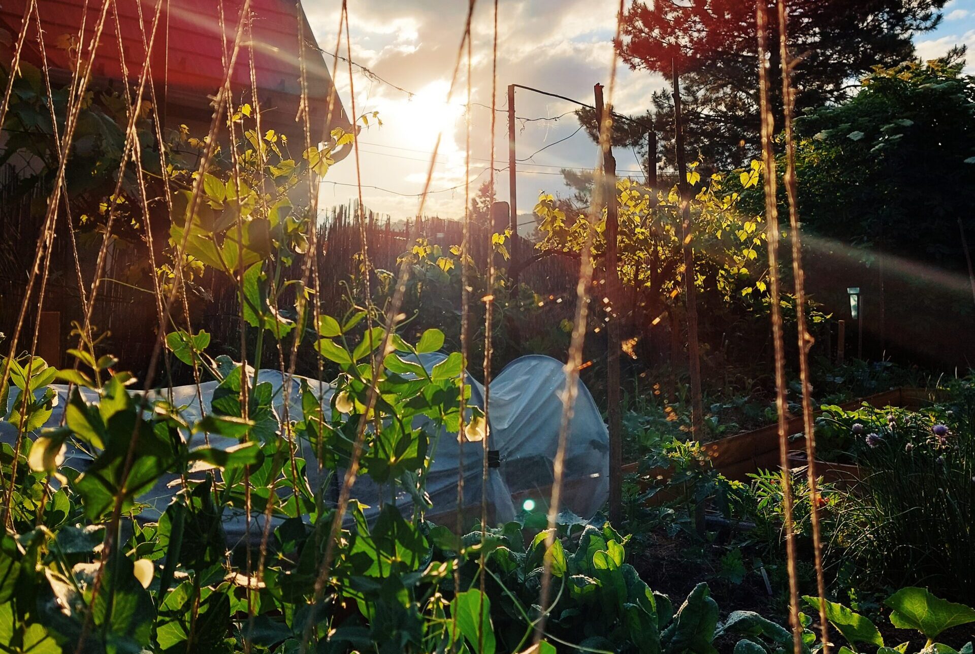 Processed with VSCO with u1 preset