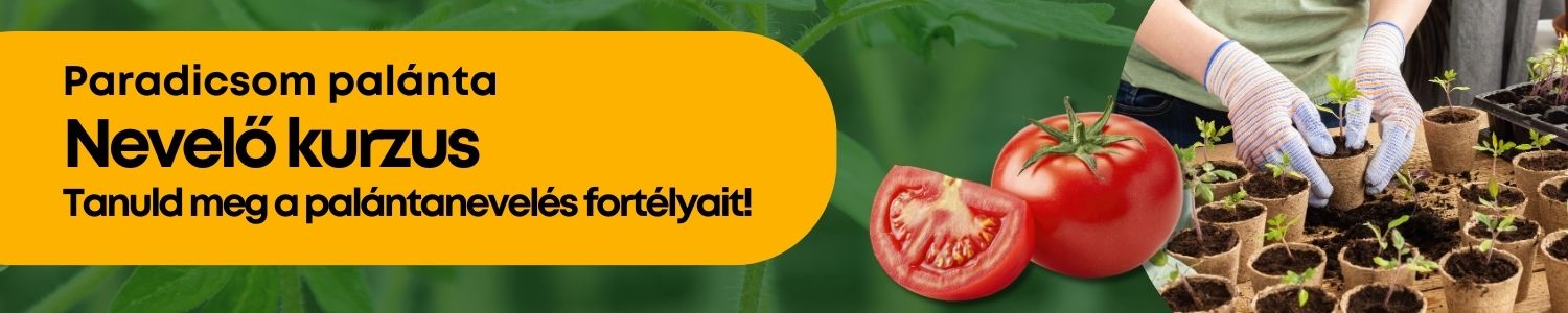 paradicsom palánta kurzus promo