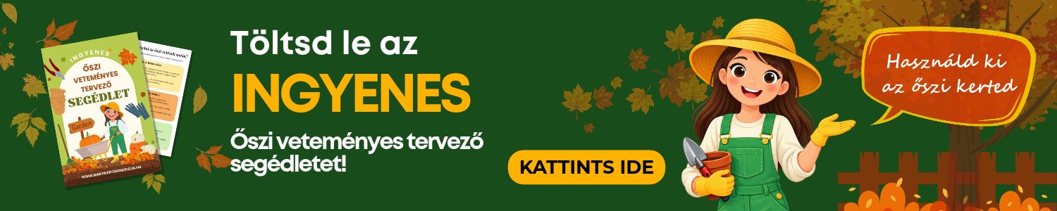 Kattints ide (1500 x 300 képpont) (1)