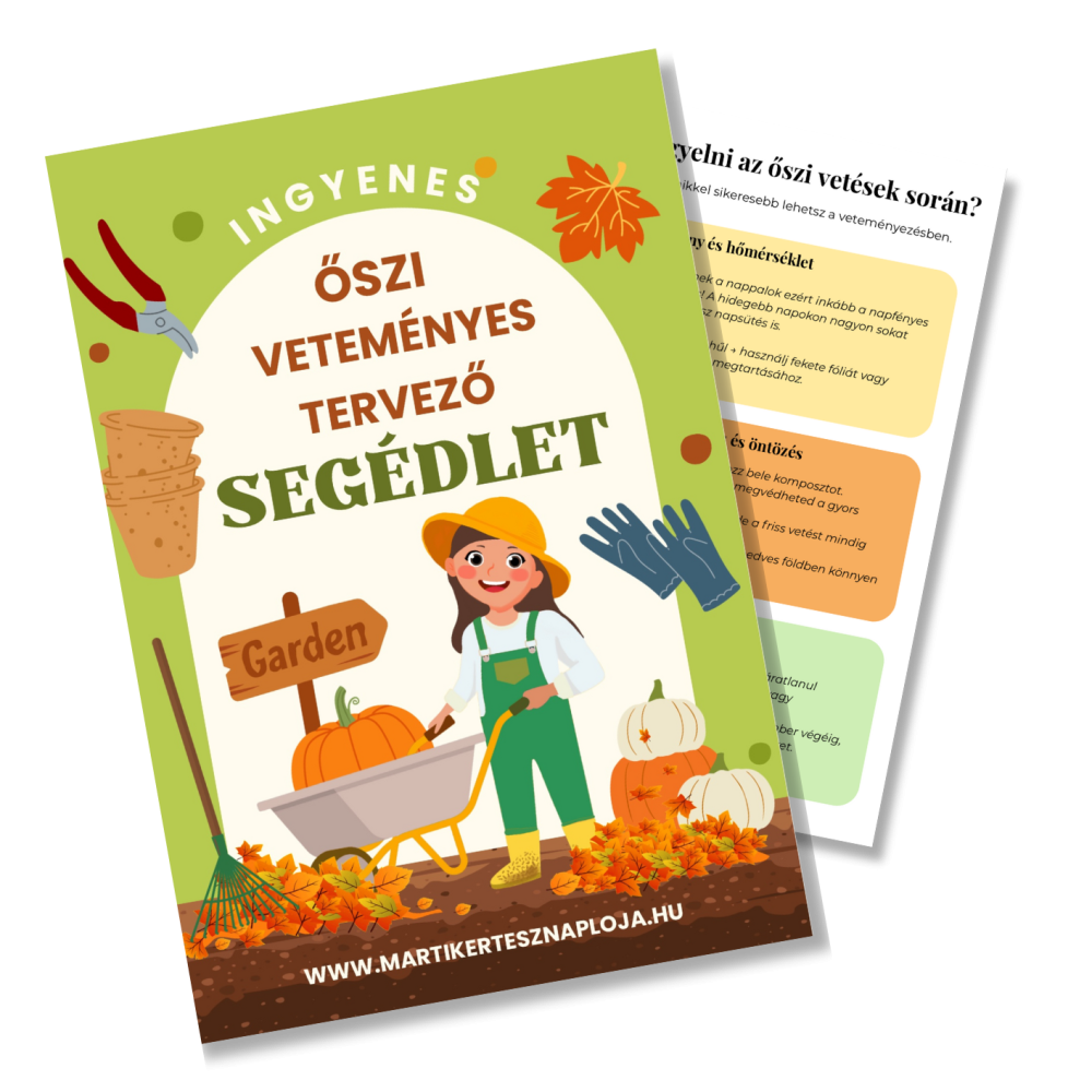 Névtelen (Szórólap (A4))